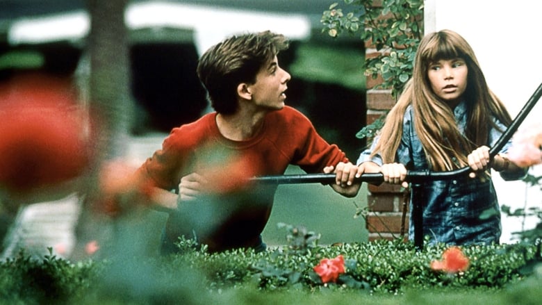 Backdrop image for movie Casebusters