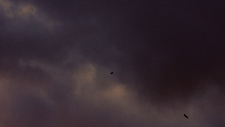 Backdrop image for movie Det var en gang en fjord