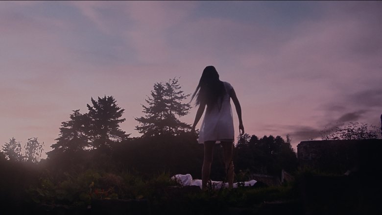 Backdrop image for movie The Son of La Llorona