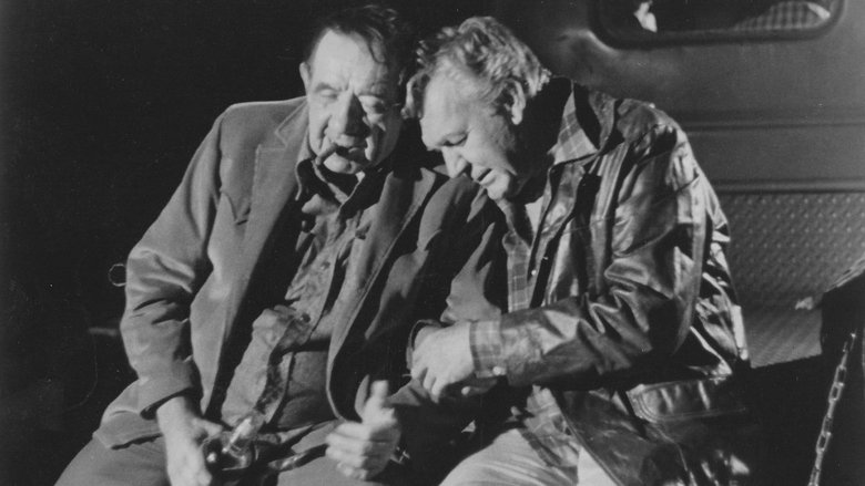Backdrop image for movie The Wild McCullochs