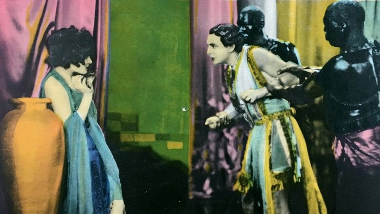 Backdrop image for movie The Wanderer