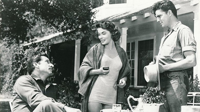 Backdrop image for movie Return of the Texan