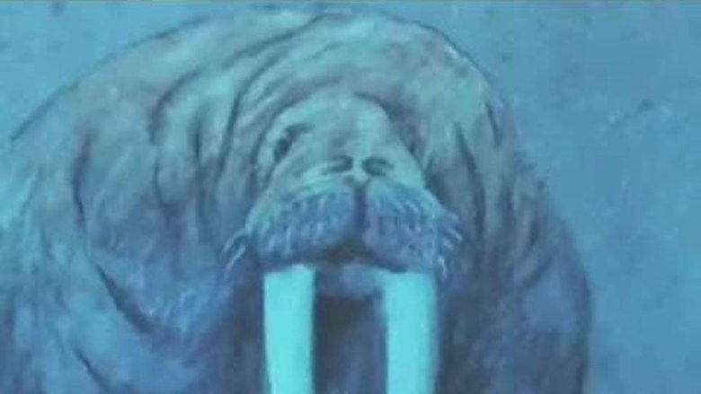 Backdrop image for movie The Mighty River