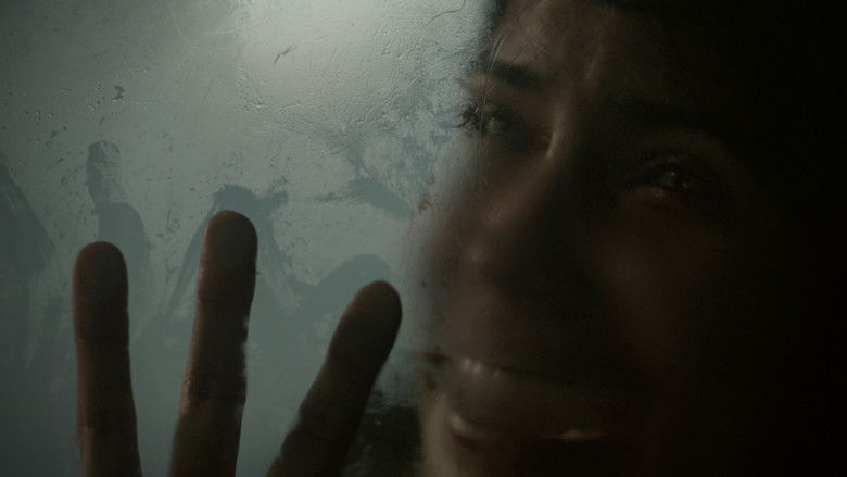 Backdrop image for movie El cuidador del bosque