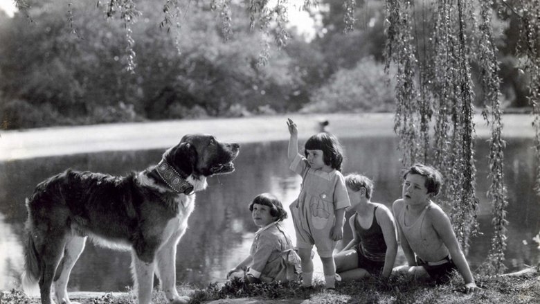 Backdrop image for movie The Call of the Wild