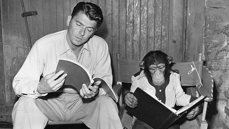 Backdrop image for movie Bedtime for Bonzo