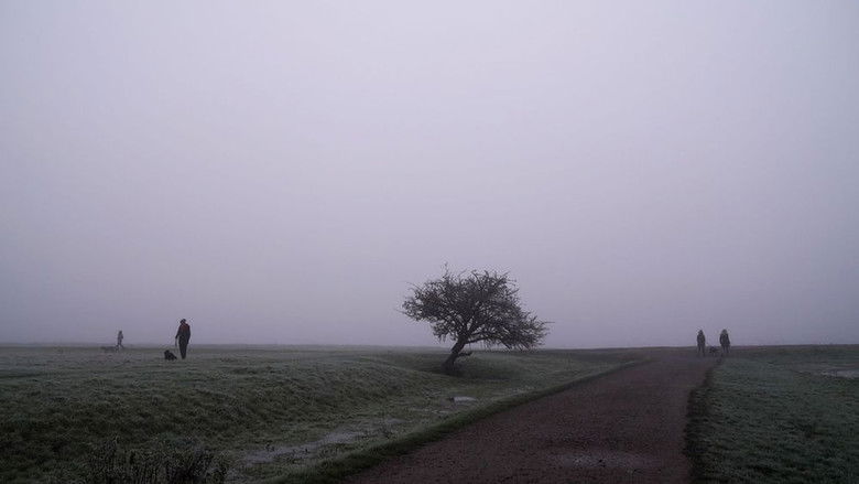Backdrop image for movie Port Meadow