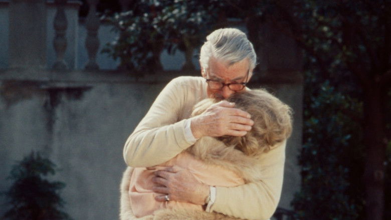 Backdrop image for movie Live Again, Die Again