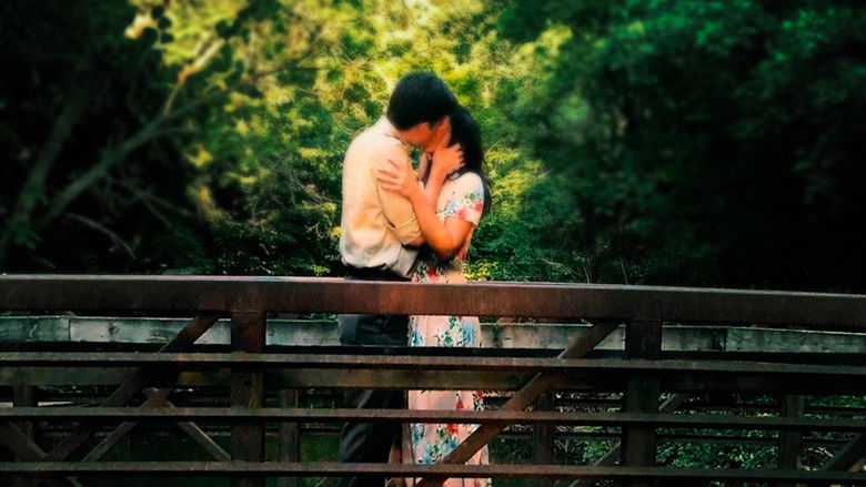 Backdrop image for movie Ageless Love