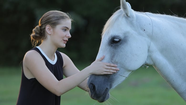 Backdrop image for movie Urban Country