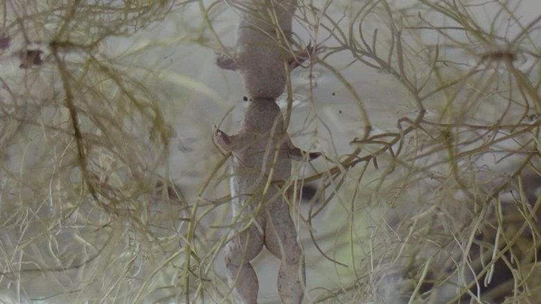 Backdrop image for movie Darwin's Darlings
