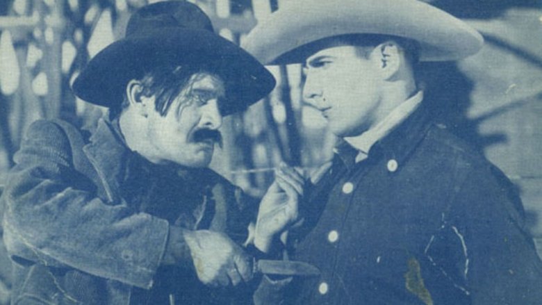 Backdrop image for movie The Cowboy Musketeer