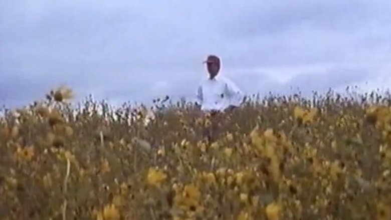 Backdrop image for movie In Search of Oz