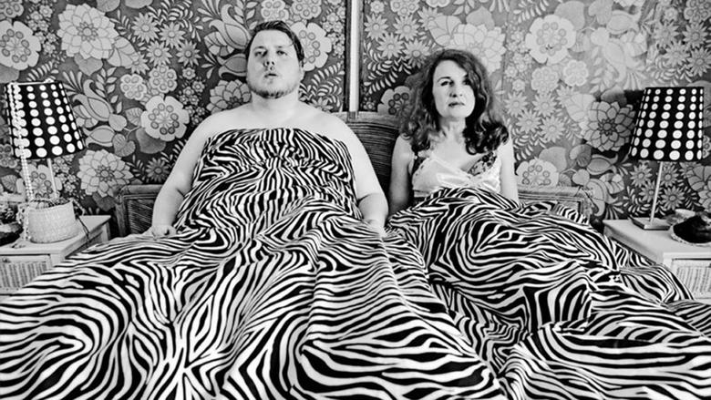 Backdrop image for movie Dark Horse