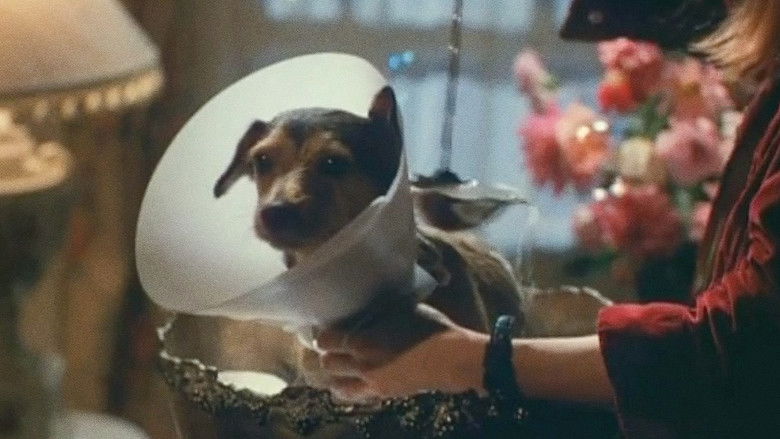 Backdrop image for movie Every Dog Has Its Day