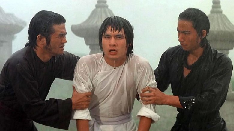 Backdrop image for movie Shaolin Temple