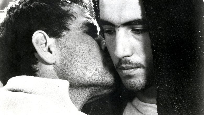 Backdrop image for movie The Gospel According to Matthew