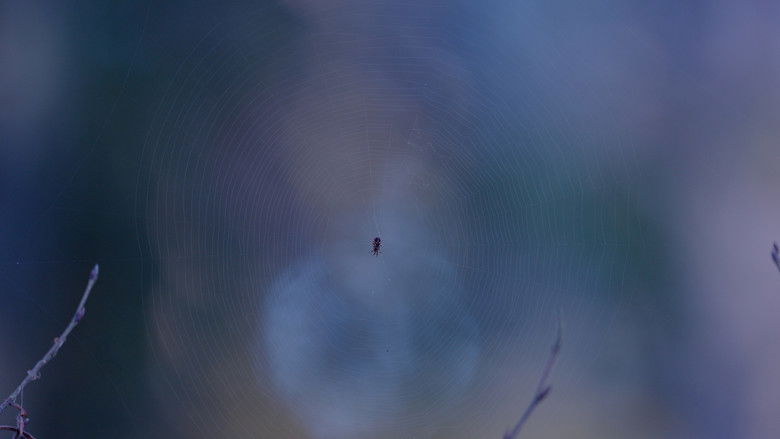 Backdrop image for movie Dearest Ghost