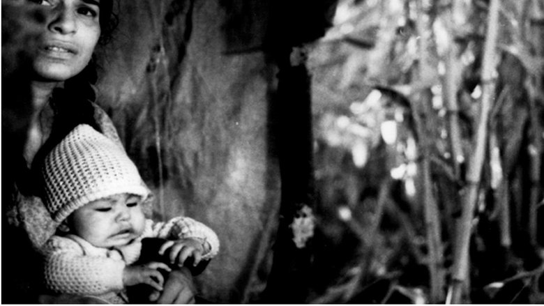 Backdrop image for movie De ida y vuelta