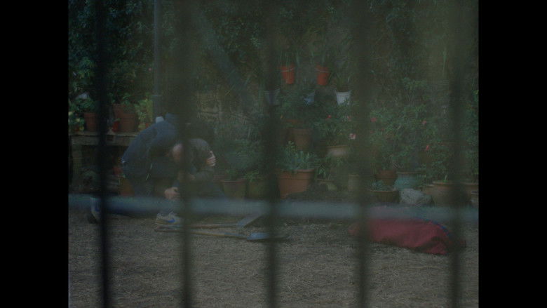 Backdrop image for movie Acá te dejo