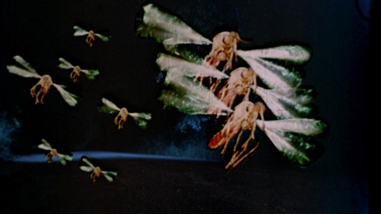 Backdrop image for movie Mosquito