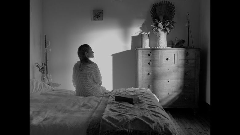 Backdrop image for movie Vineyard Ablaze