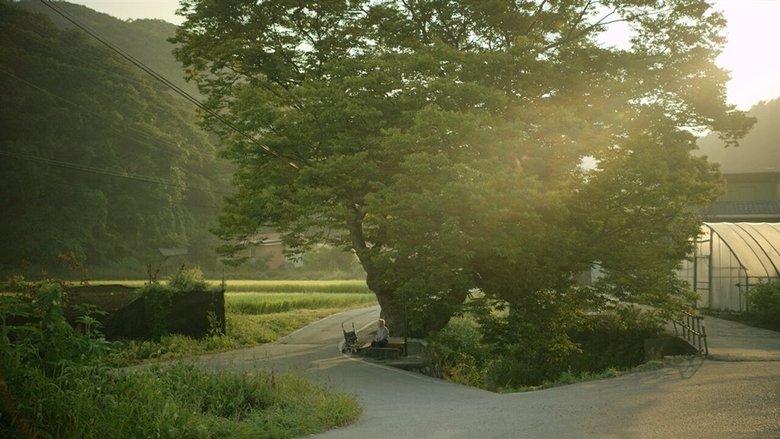 Backdrop image for movie Summer Sounds