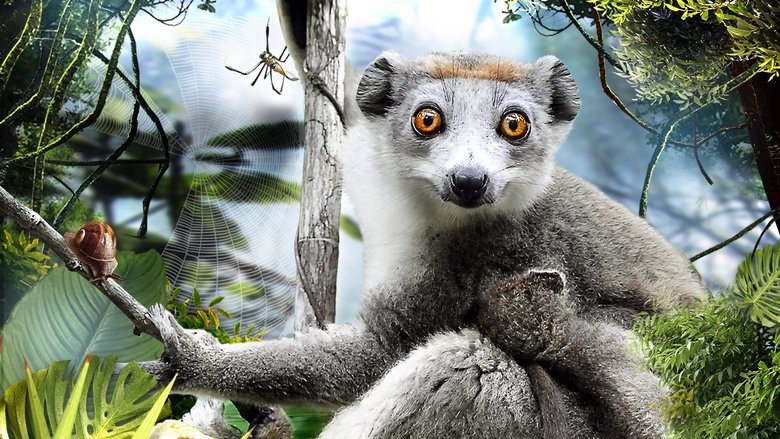 Backdrop image for movie Madagascar 3D