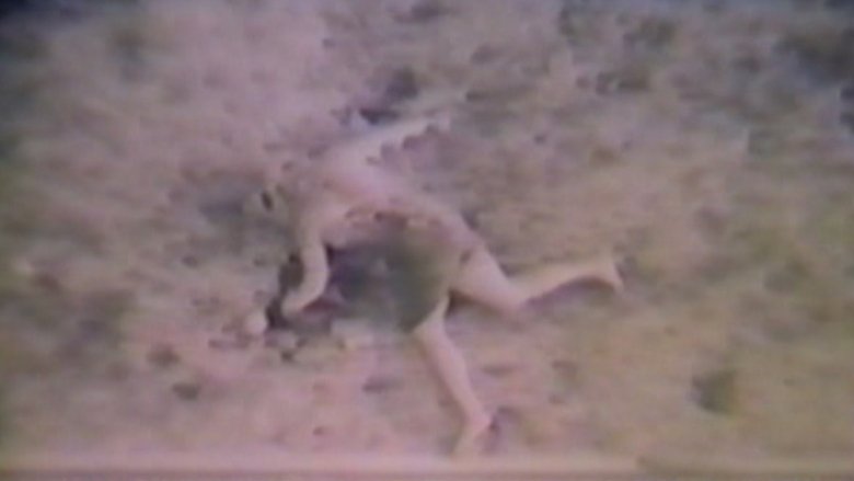 Backdrop image for movie The Diane Linkletter Story