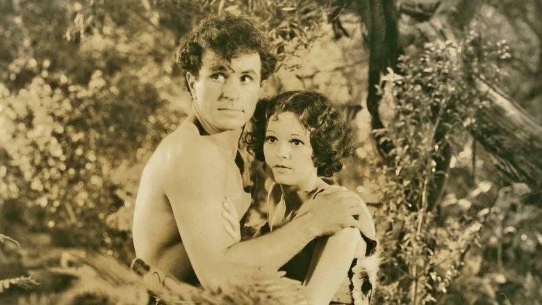 Backdrop image for movie Savage Fury