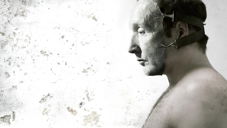 Backdrop image for movie Saw V
