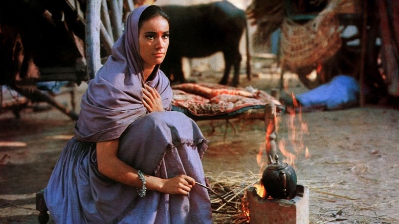 Backdrop image for movie The Mystery of the Indian Temple