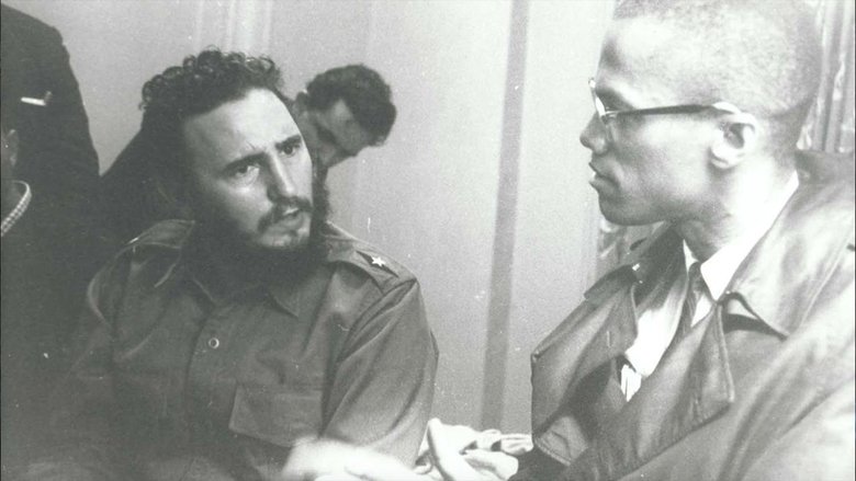 Backdrop image for movie Fidel: The Untold Story