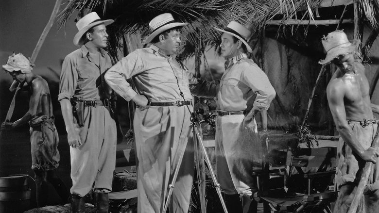 Backdrop image for movie Danger in the Pacific