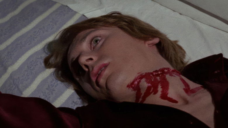 Backdrop image for movie Sex of the Witch