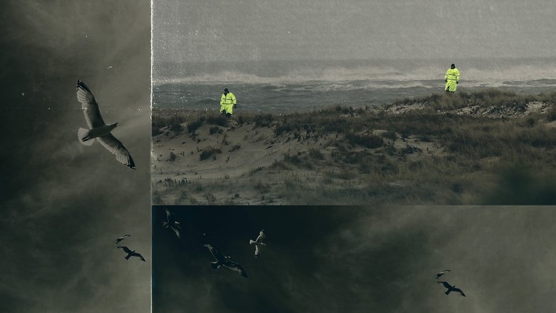 Backdrop image for movie Unraveled: The Long Island Serial Killer
