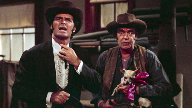 Backdrop image for movie Support Your Local Gunfighter