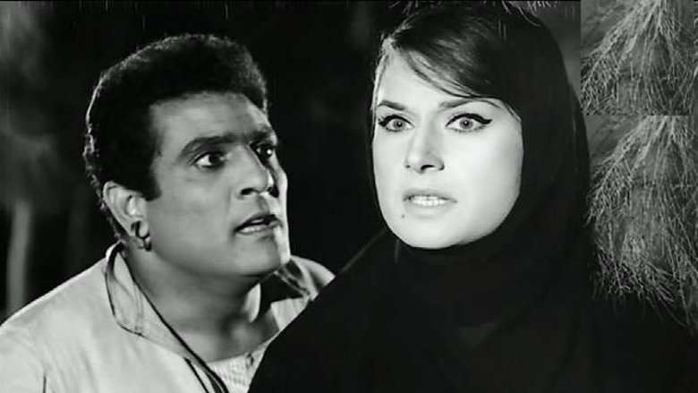 Backdrop image for movie The Intruder
