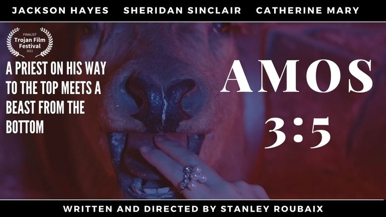 Backdrop image for movie AMOS 3:5