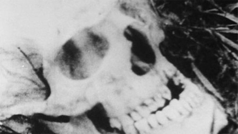 Backdrop image for movie The Hearts of Age