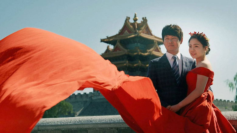 Backdrop image for movie Balance of the Five Elements