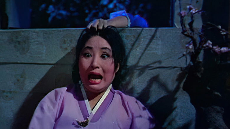 Backdrop image for movie The Public Cemetery Under the Moon