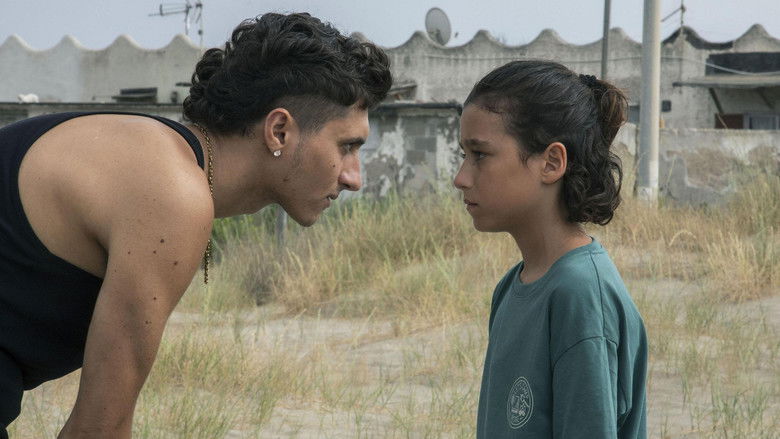 Backdrop image for movie My Summer with the Shark