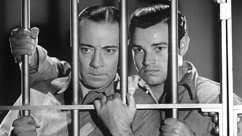 Backdrop image for movie They All Come Out