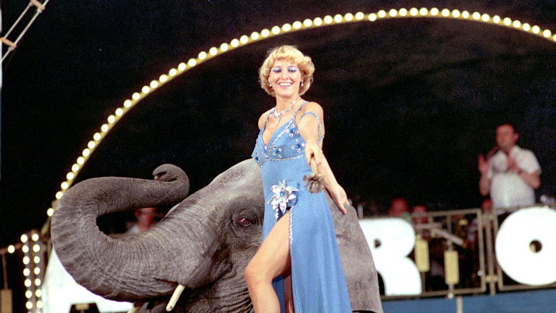 Backdrop image for movie Cirkus na zelené louce