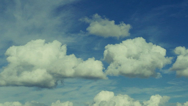 Backdrop image for movie Live a Little