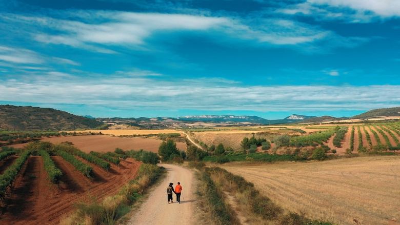 Backdrop image for movie Buen Camino