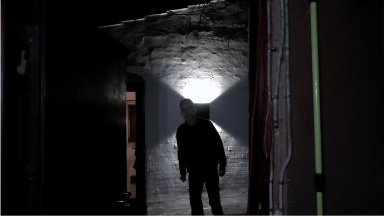 Backdrop image for movie The Revenge