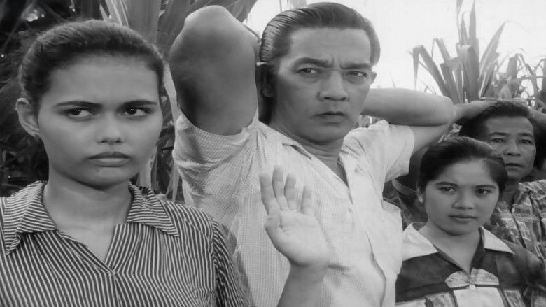 Backdrop image for movie The Moises Padilla Story