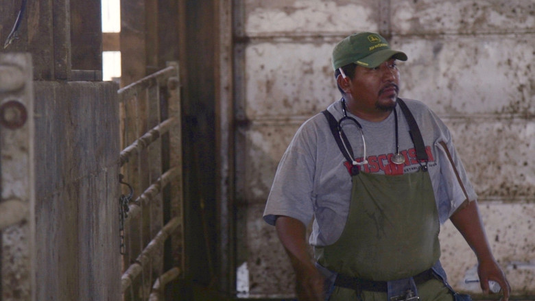 Backdrop image for movie Los Lecheros